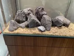 2025年最新】山水石 水槽の人気アイテム - メルカリ