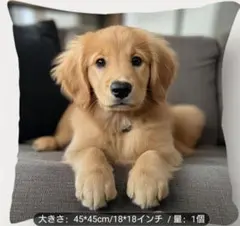 Item thumbnail for item 8c4455bc-dcd8-4571-9ba6-99778dc13f9f