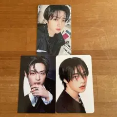 Stray Kids Karma リノFANS特典 SKZOOトレカ、封入セット