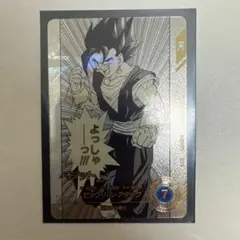 アドバンスパック APT-016 ベジット SR パラレル - メルカリ