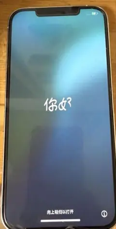 Apple iPhone 12 Pro MAX 本体