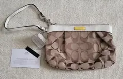 Item thumbnail for item 3d863ae8-0f96-457e-b05f-9e46b772a7b3