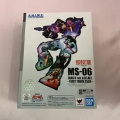 ROBOT魂 MS-06 量産型ザク ver. ～ファーストタッチ2500～