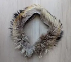 Item thumbnail for item dfa48776-c0db-4ab0-8ef5-3ef38a6d8daa