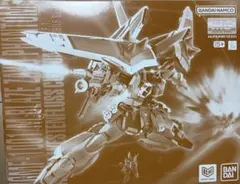 MG 1/100 ZGMF-1001/M ブレイズザクファントム ハイネ　未開封