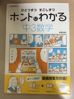 ひとつずつすこしずつ ホントにわかる 中3数学