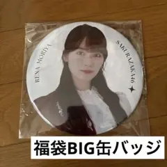 Item thumbnail for item 94f94511-7591-4028-8570-ba6ce11861fc