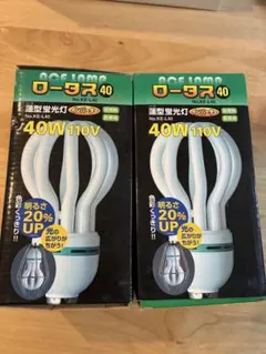 Item thumbnail for item 9153ea6a-fe4b-4c01-8250-a6a9978dcb1d