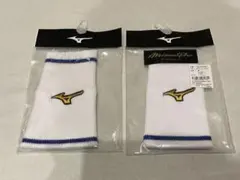 Item thumbnail for item 2a897cd6-7af5-4e22-8942-b7fdcdac720d