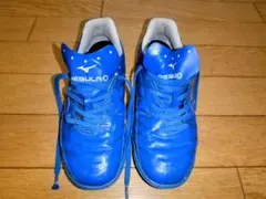 トレーニングシューズ ミズノ 22cm ブルー FT GRIP トレシュー