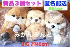 2026年最新】うきうきらっこの人気アイテム - メルカリ