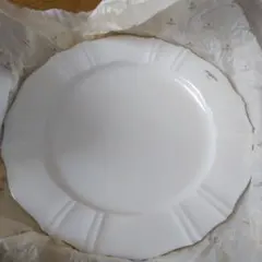 Item thumbnail for item 48174051-9afc-4fdc-b033-cf4fc188ebba