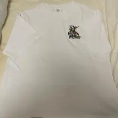 Item thumbnail for item 869d6975-06c1-44cd-aba8-06d8018fd008