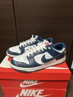 NIKE DUNK LOW 28センチ　バレリアンブルー