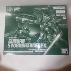 MG ガンダムストームブリンガー FA 完成品 つや消し ウェザリング