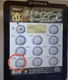 【球場限定】阪神タイガース2026優勝記念サインボールキーホルダー 高橋遥人
