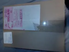 【未開封】マリィのモルペコ&オーロンゲex、ダイゴのダンバル＆メタグロスex