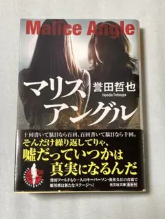マリスアングル