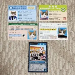 なめ猫 5枚セット