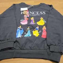 ディズニープリンセストレーナー