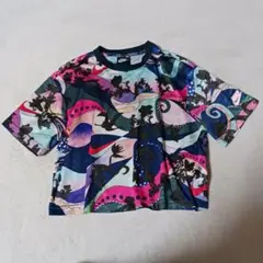 NIKE　ナイキ　Tシャツ　カットソー　L　ショート丈　レア