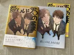 愛しいのは君のまま　会川フゥ　 アニメイトリーフレット　イラストカード付きのサムネイル
