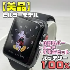 【美品】BT100％ セルラー 42mm 保護カバー＋バンド＋充電器