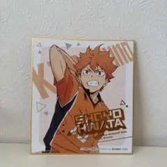 ハイキュー!! 日向翔陽ミニ色紙
