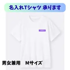 Item thumbnail for item e85923dc-e958-4671-b90e-c6805ac17502