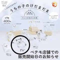 うちの子けだまだま　黒柴