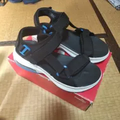 Item thumbnail for item 39ea07b8-351d-430b-aec9-034ef72d3a55