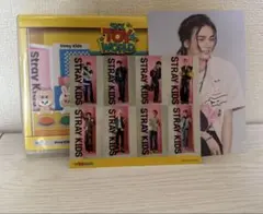 Stray Kids/Fan Connecting 2024""SKZ TOY…