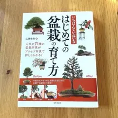 2026年最新】盆栽の人気アイテム - メルカリ