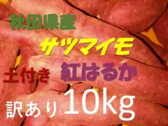 秋田県産 サツマイモ 紅はるか SSサイズ等 10kg 訳あり