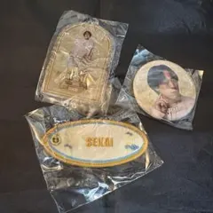 世界　缶バッジ　クリアチャーム　ワッペン　3種　WHAT IS EXILE