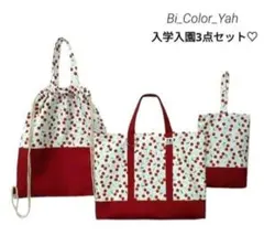 入園入園☆３点セット♡レッスンバッグ☆女の子☆おしゃれトート☆ハンドメイド