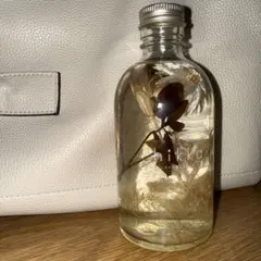 히카 하바리움 보틀 내부