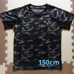 PUMA 速乾Tシャツ 150cm
