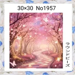 ダイヤモンドアートキット　　No1957