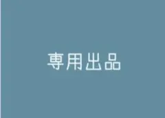 専用出品
