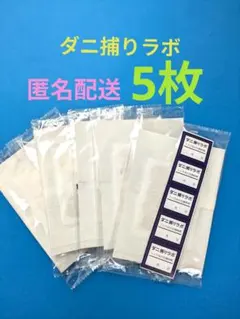 Item thumbnail for item cc4aaf8c-3a42-475e-b03c-33831dfaa188