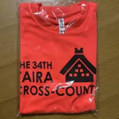 Item thumbnail for item 82460e2e-e894-44a9-9969-e43f13e49385