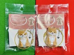 Item thumbnail for item 6415ecc7-9be6-4e3a-b1b5-15f58e5aa5ee