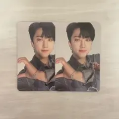 チャンビン MAXIDENT トレカ