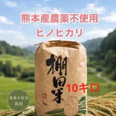 令和7年 熊本県産 ヒノヒカリ 20kg 白米 新米 菊池米 - メルカリ