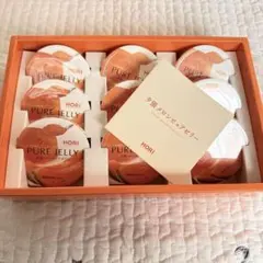 夕張メロンピュアゼリー　9個　HORI ホリのサムネイル