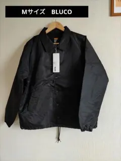 Item thumbnail for item d922e654-4a6f-4cb2-b926-d81daf421018