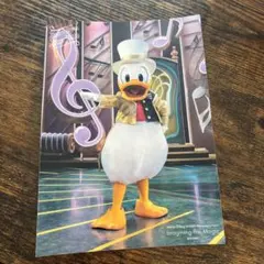 Imagining the Magic 写真