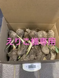 えりこ様専用