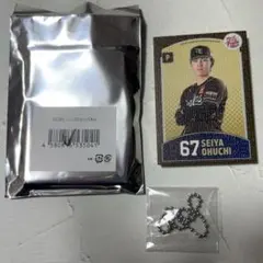 楽天イーグルス 大内誠弥 ミニスタメンパネル
